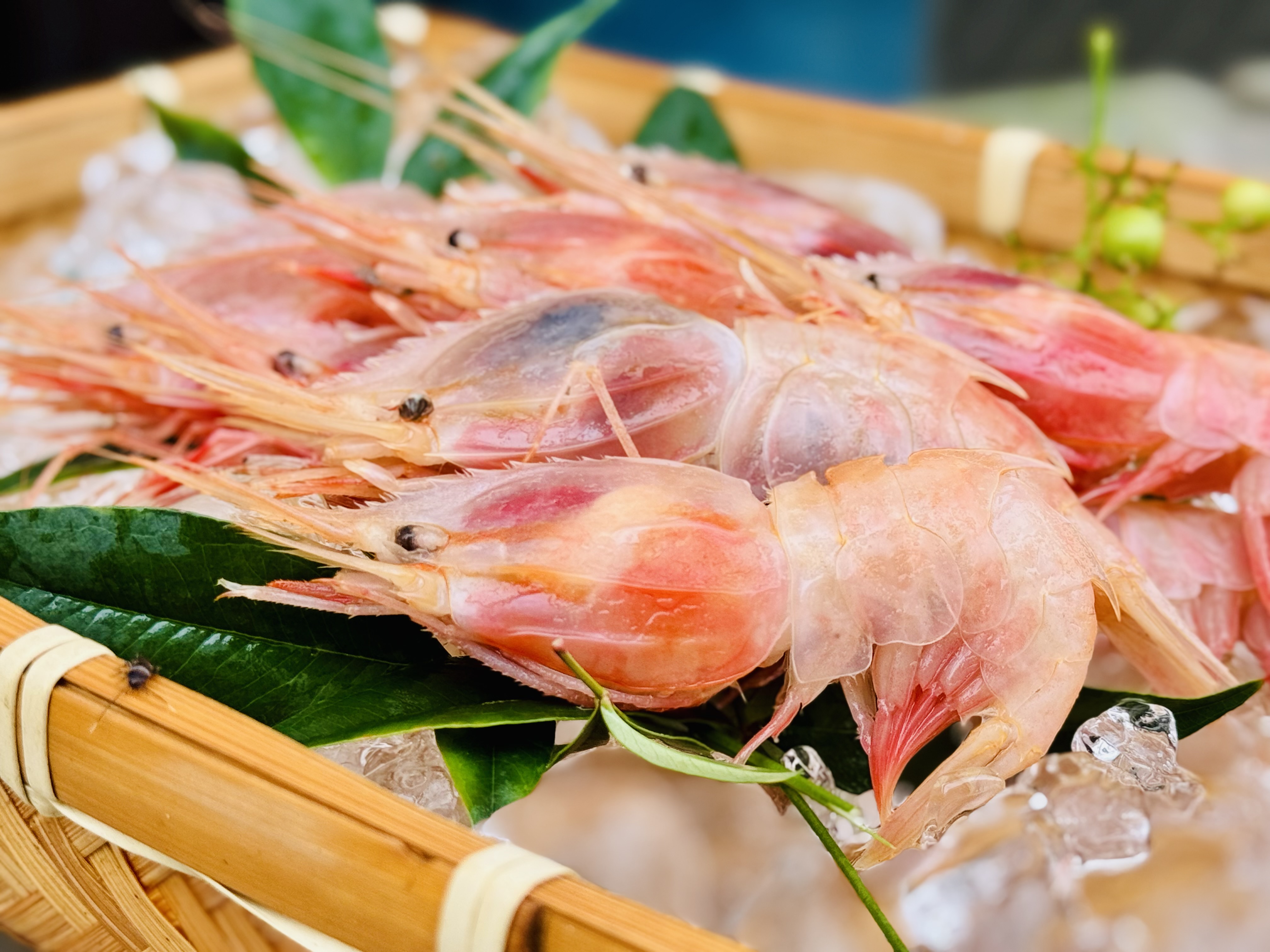 戸田産ミノエビ400g/ (200g×2P／1P約12尾）