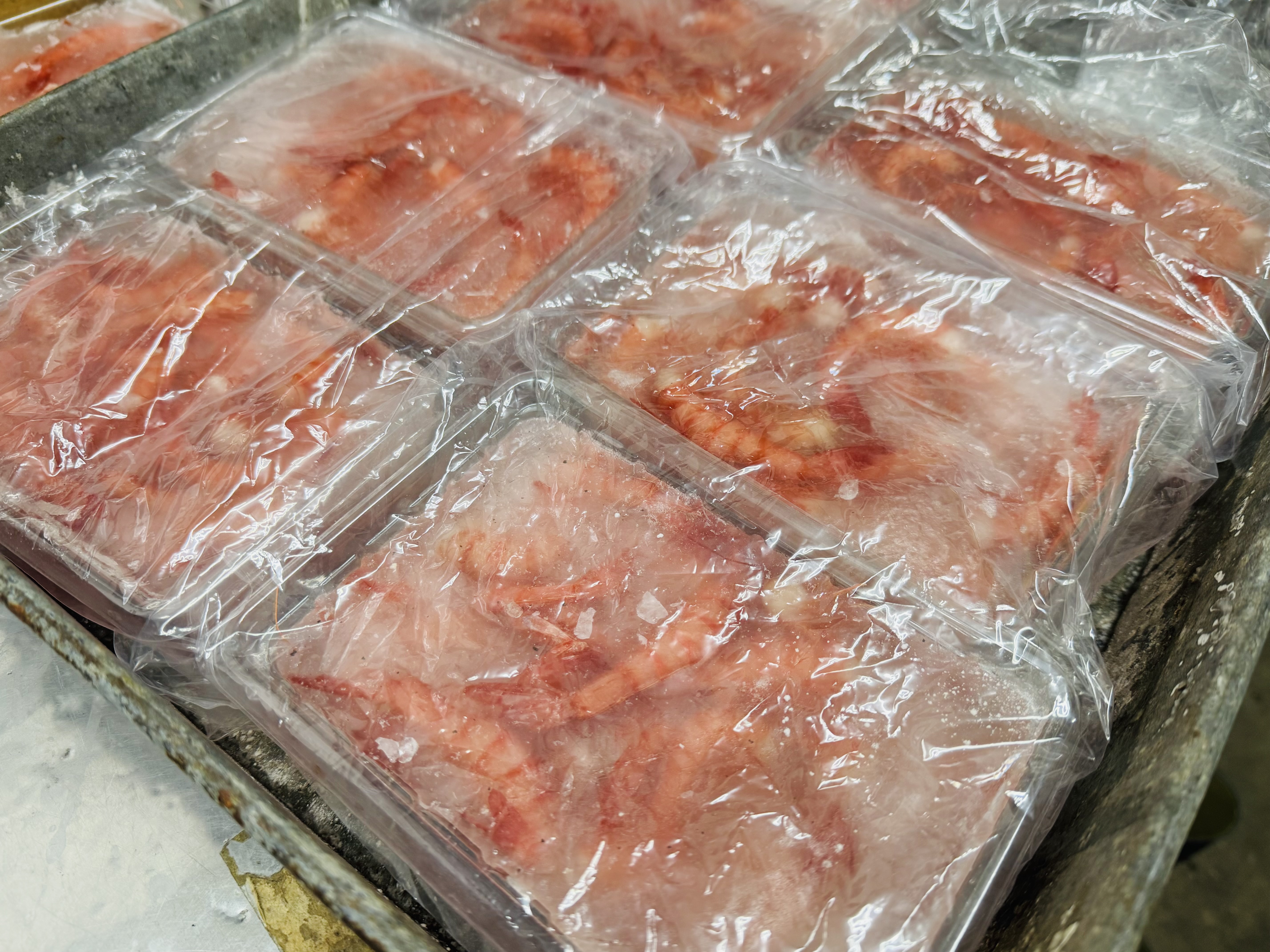 戸田産シマエビ小無頭400g