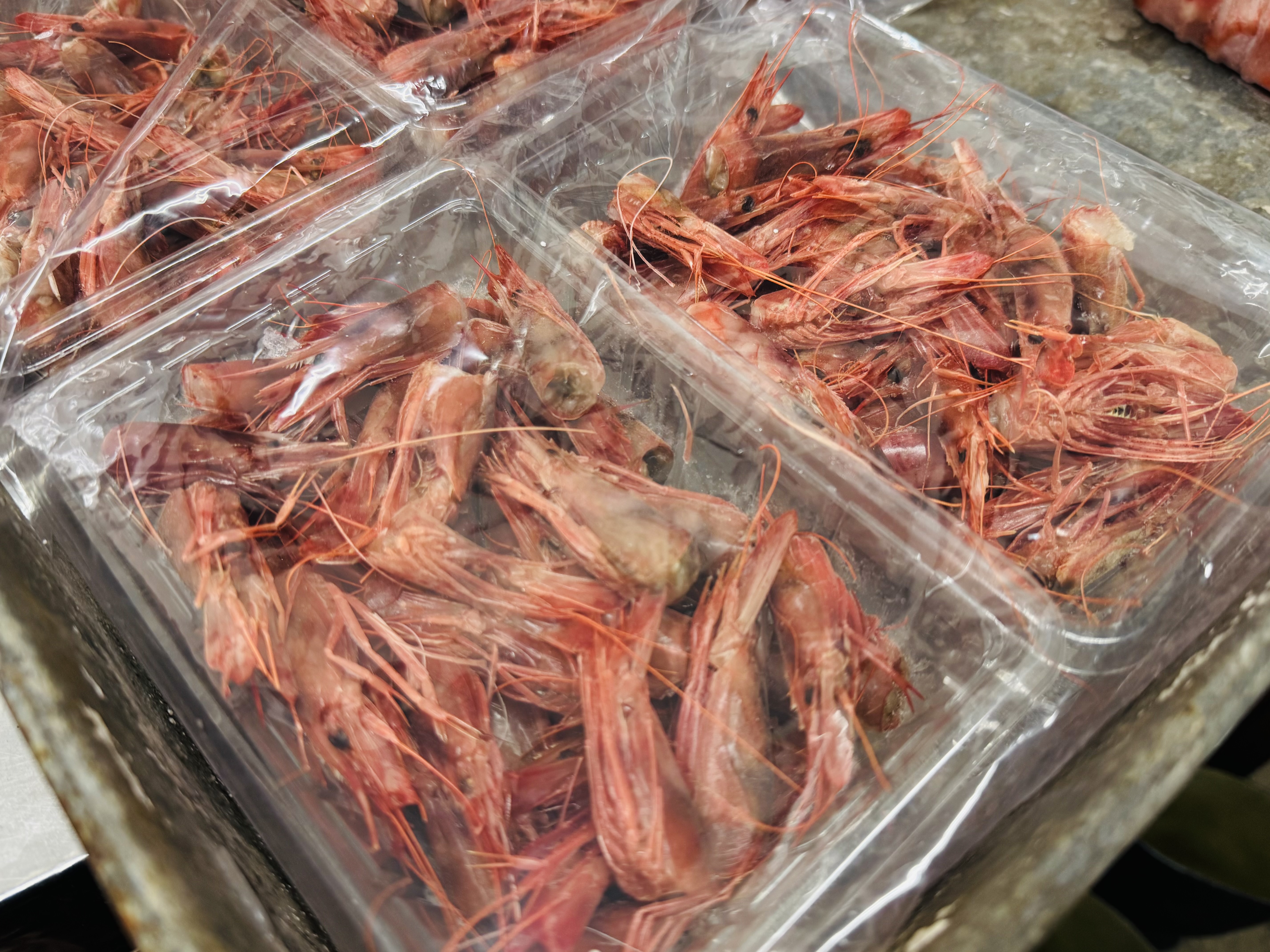 戸田産シマエビ小頭（出汁用）500g