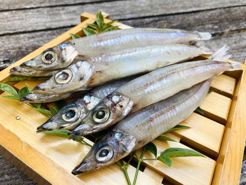戸田産メギス丸干し10尾前後/500g