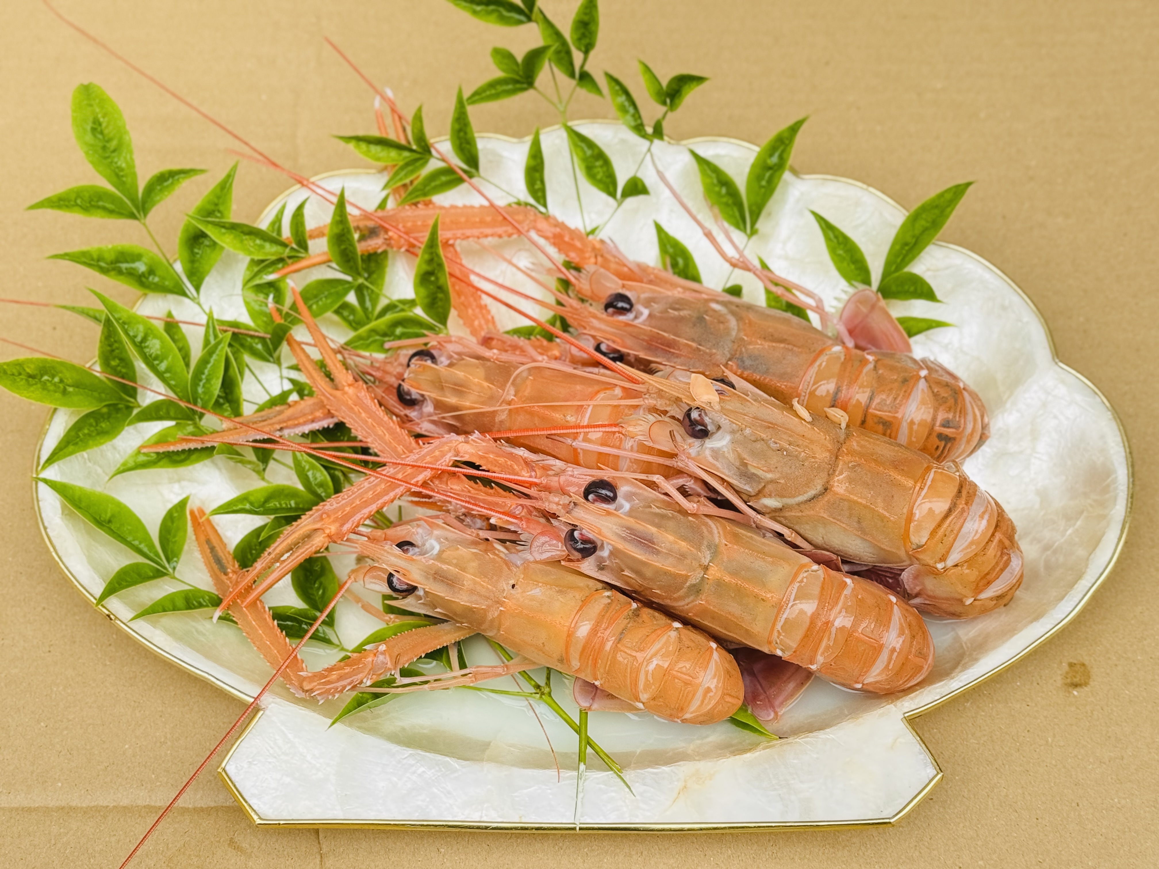 戸田産手長エビ中300g（４尾）